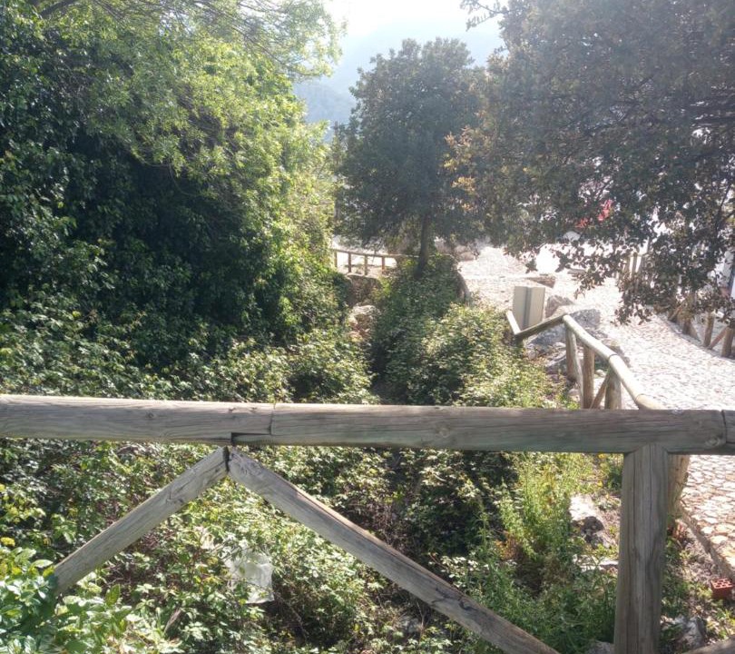 Photo of Others in Benaocaz