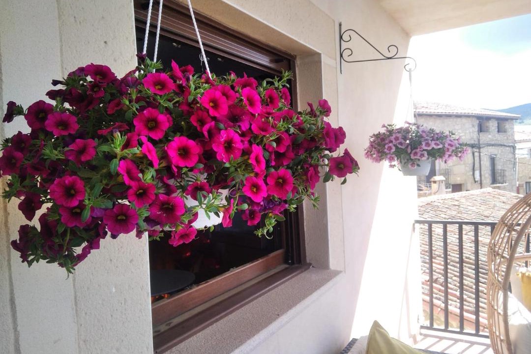 Photo of Patio Balcony in Villamiel