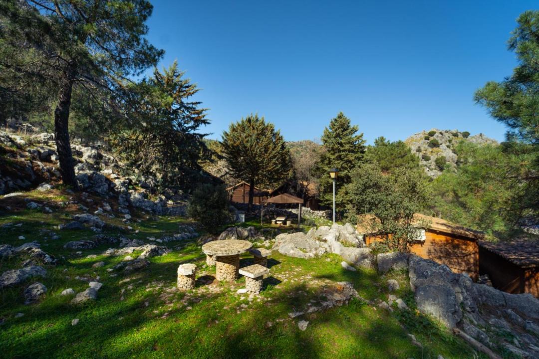 Photo of Others in Grazalema