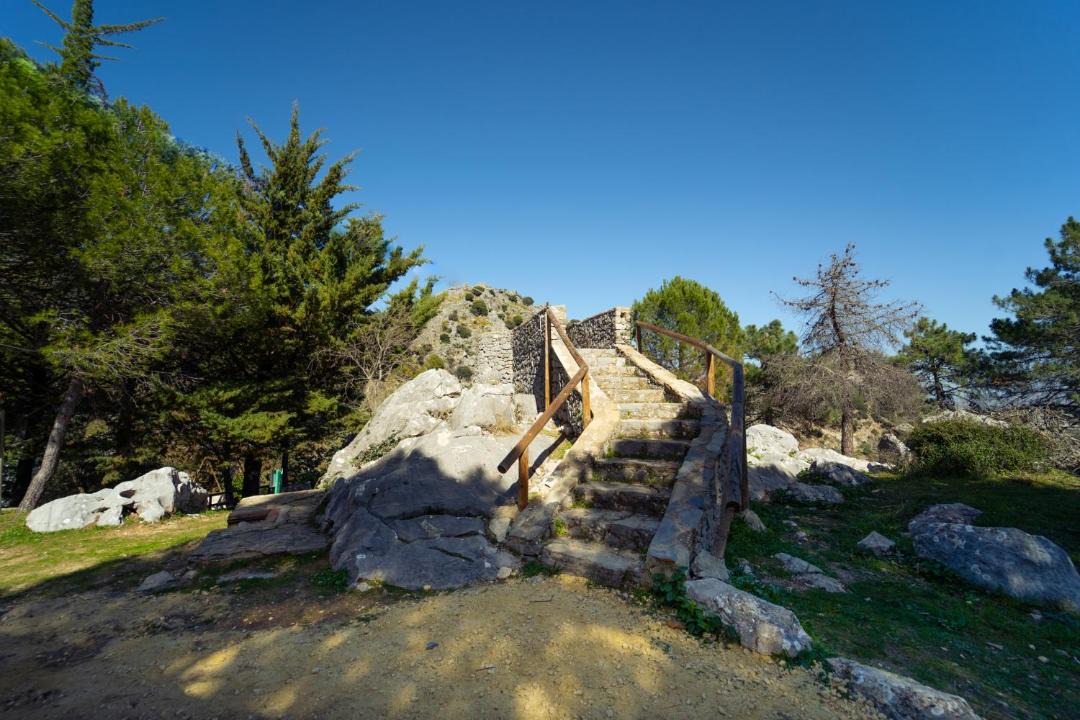 Photo of Others in Grazalema