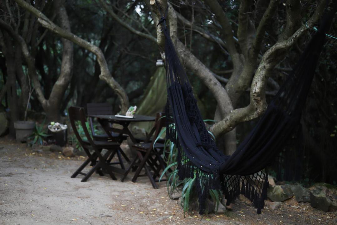 Photo of Others in Tarifa