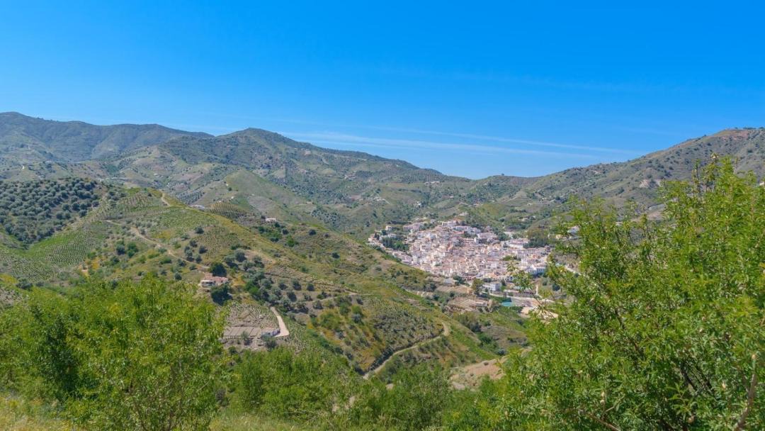 Photo of Others in El Borge