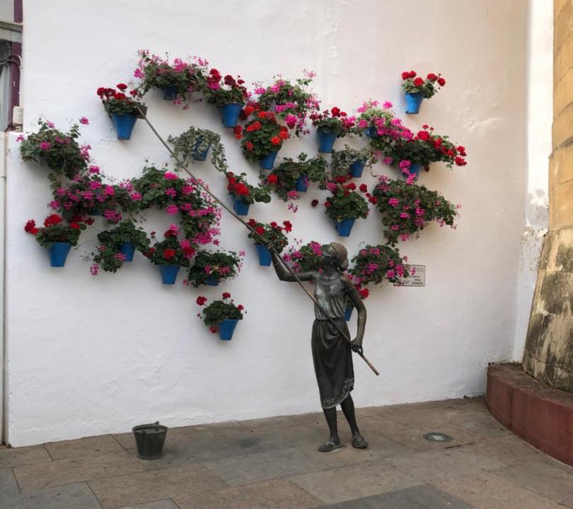 Photo of Others in Santa Marina