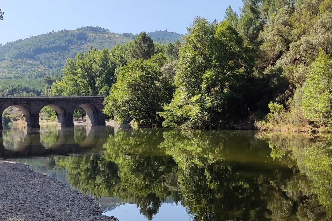 Photo of Others in Pinofranqueado