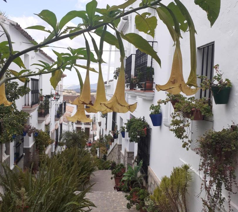 Photo of Buildings in El Gastor