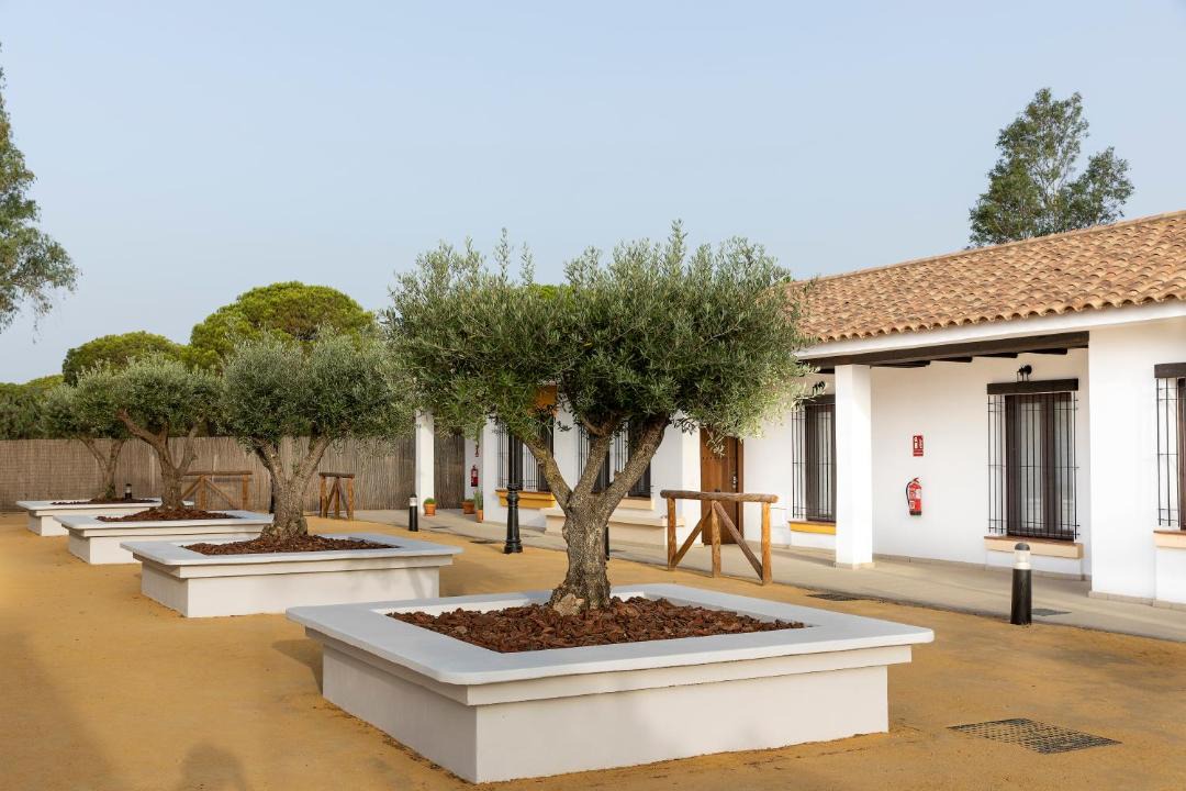 Photo of Others in El Rocio