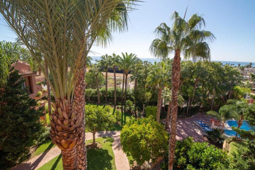 Photo of Others in Marbella