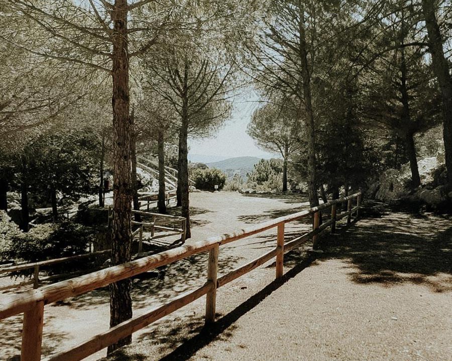 Photo of Others in Grazalema