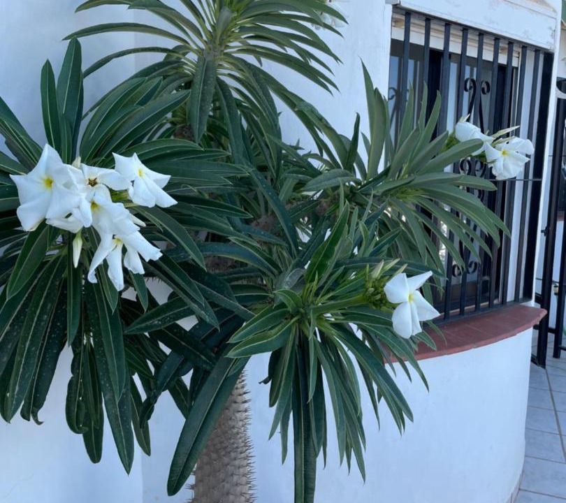 Photo of Others in Urbanizacion Ladera del Mar