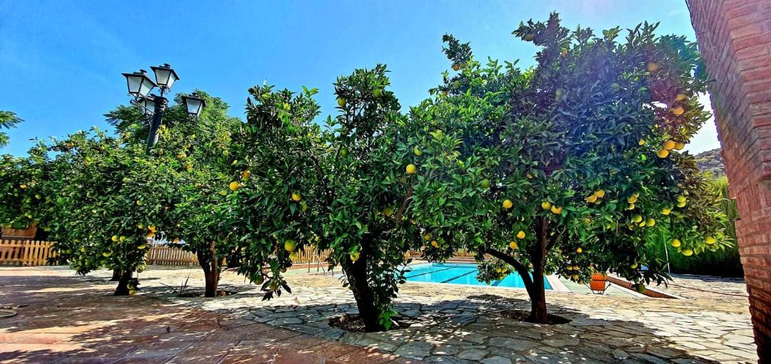 Photo of Outdoor in Priego de Cordoba