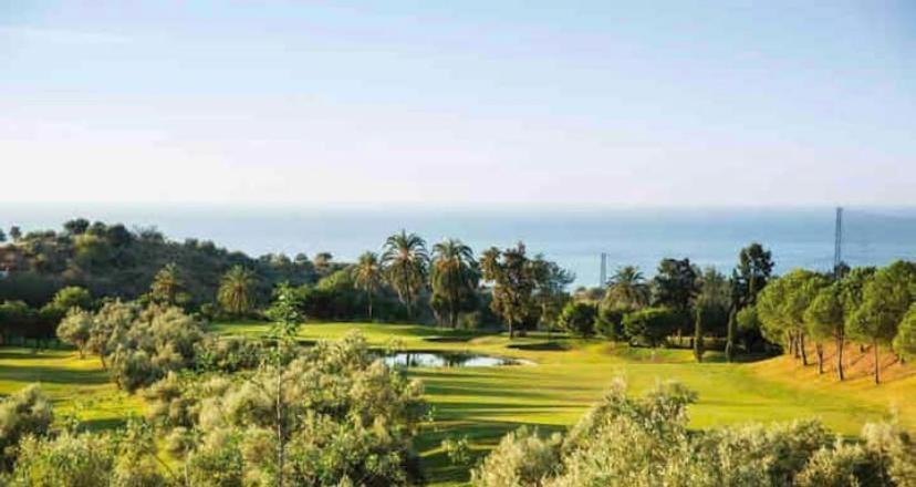 Photo of Others in Rincon de la Victoria