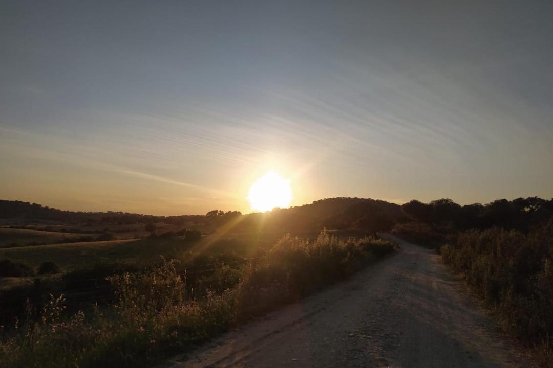 Photo of Others in Aldehuela de Jerte