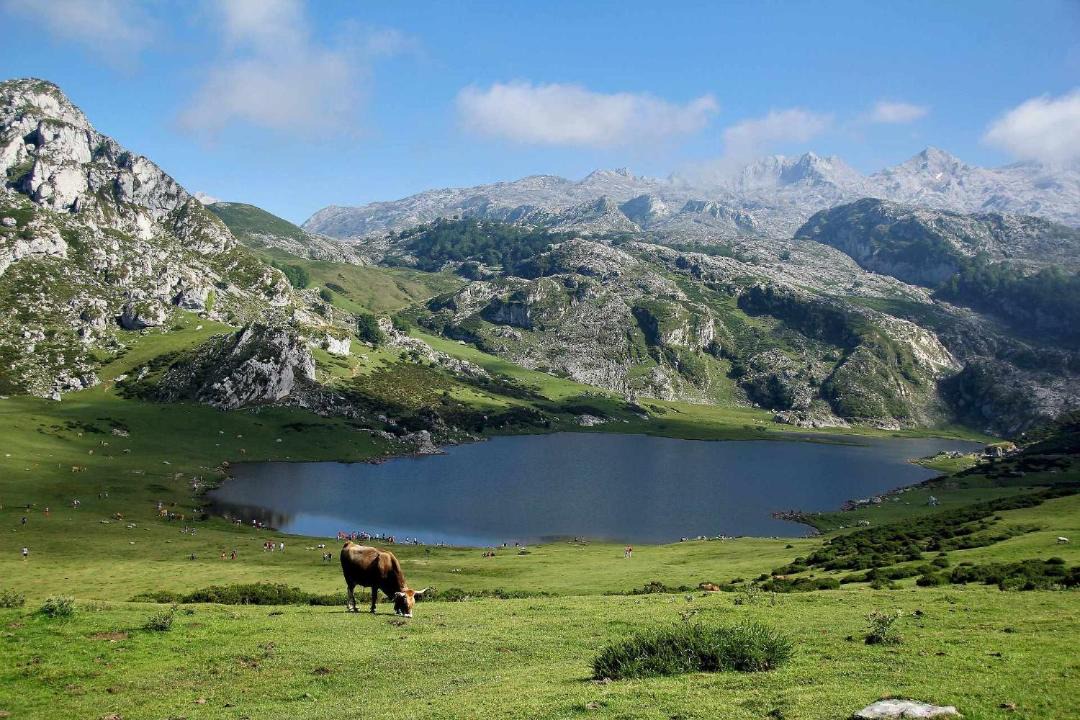 Photo of Others in Suares