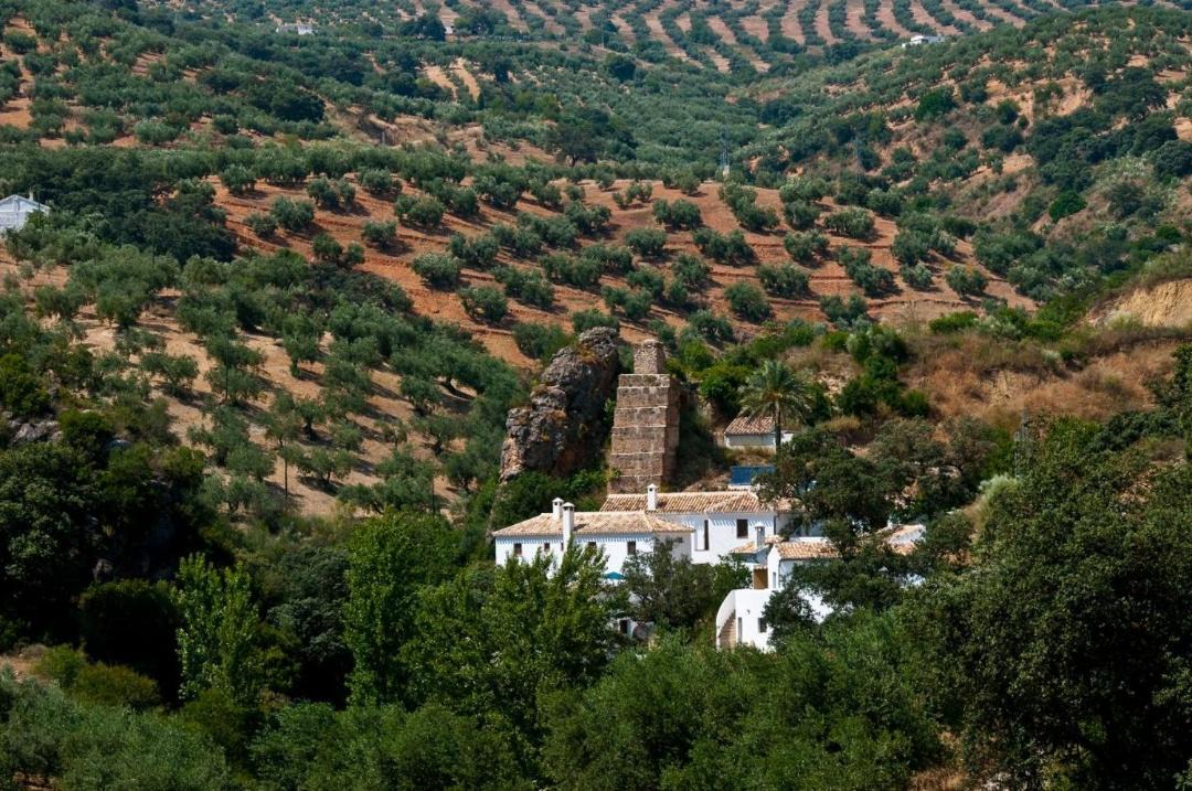 Photo of Others in Algarinejo