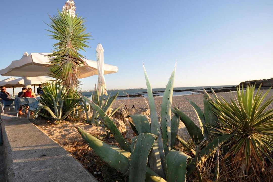 Photo of Others in El Puerto de Santa Maria