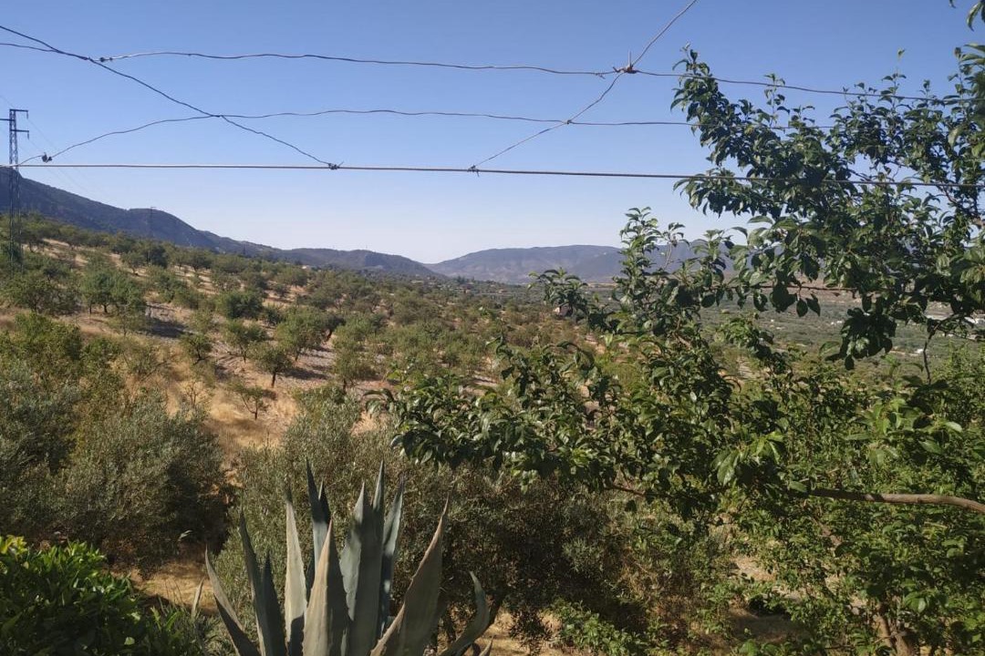 Photo of Others in Durcal