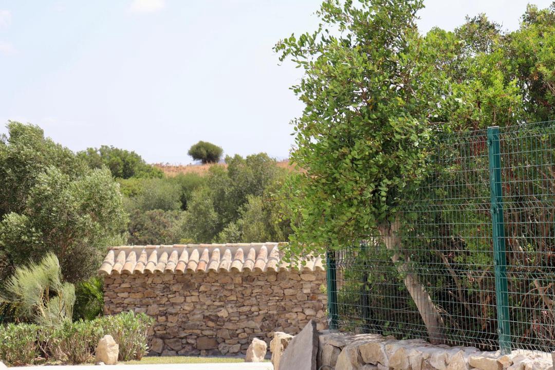 Photo of Others in Medina-Sidonia