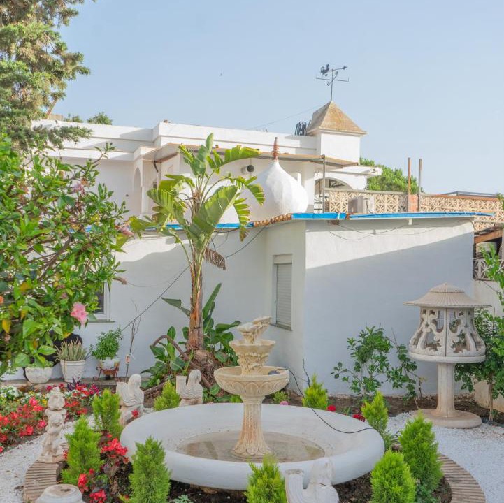 Photo of Others in Marbella