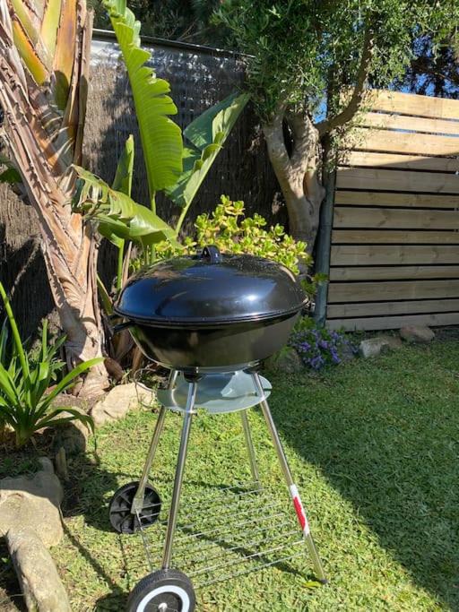 Photo of Outdoor in El Palmar