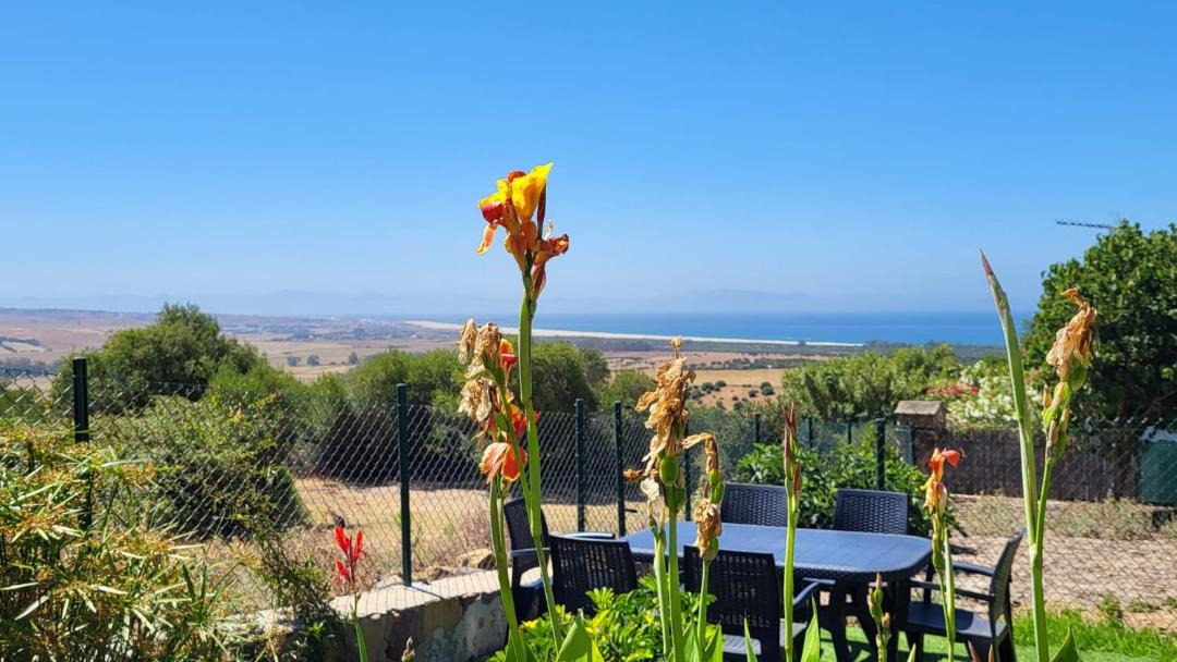Photo of Others in Tarifa