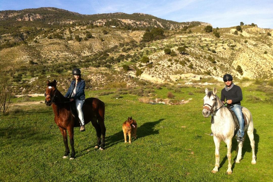 Photo of Others in Hinojares