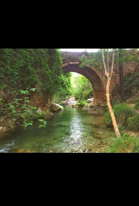 Photo of Others in Arroyo Frio