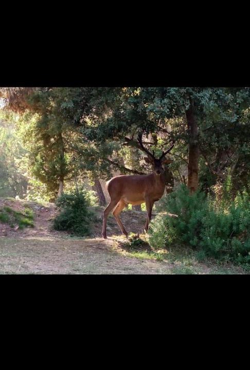 Photo of Others in Arroyo Frio