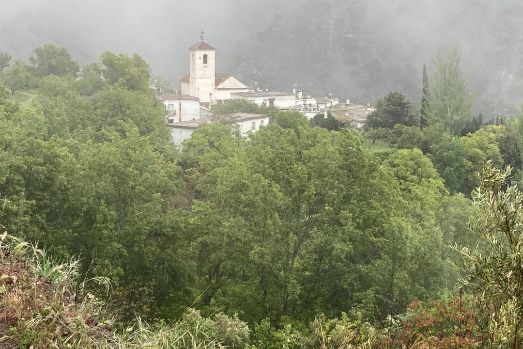 Photo of Others in Ferreirola