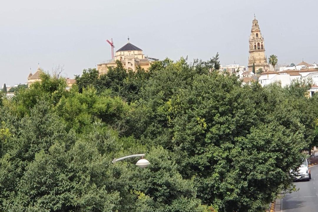 Photo of Others in Santiago