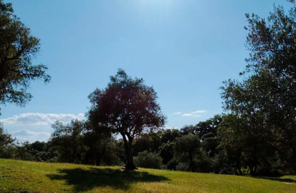 Photo of Others in Cazalla De La Sierra