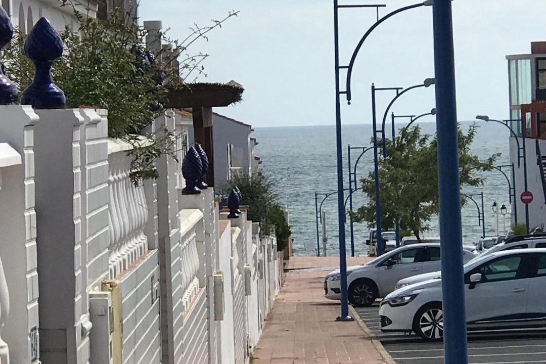 Photo of Others in Sector P - Palmito