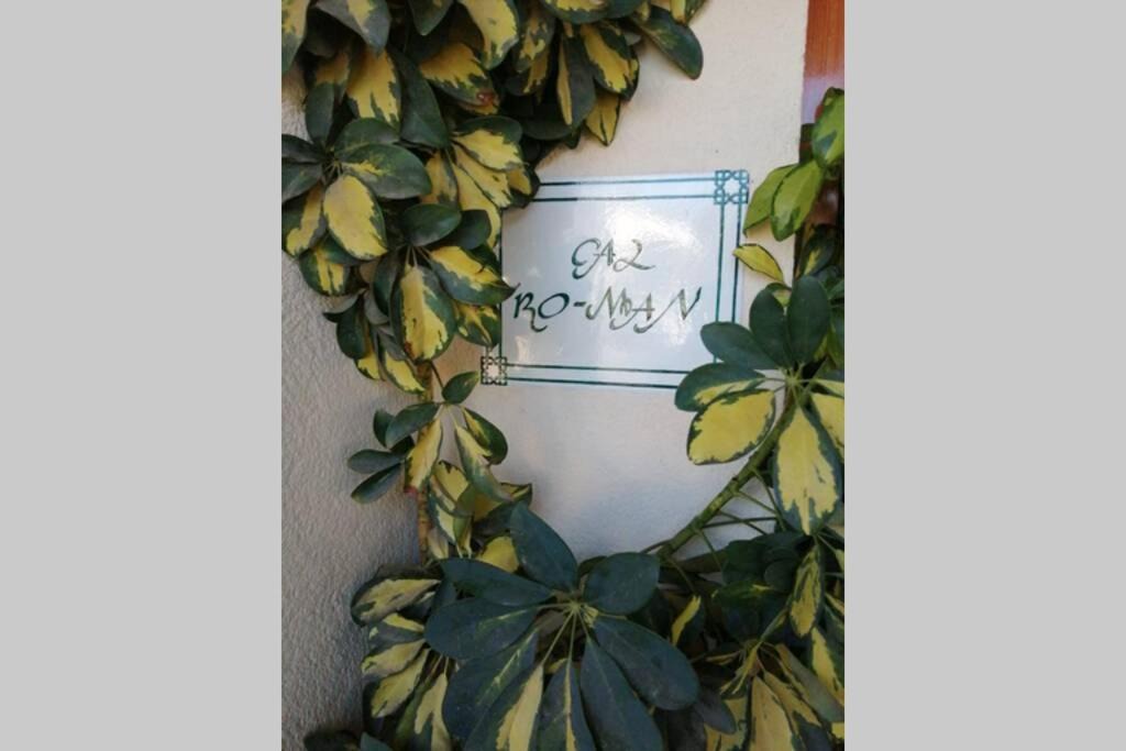 Photo of Patio Balcony in Santa Maria de Trassierra
