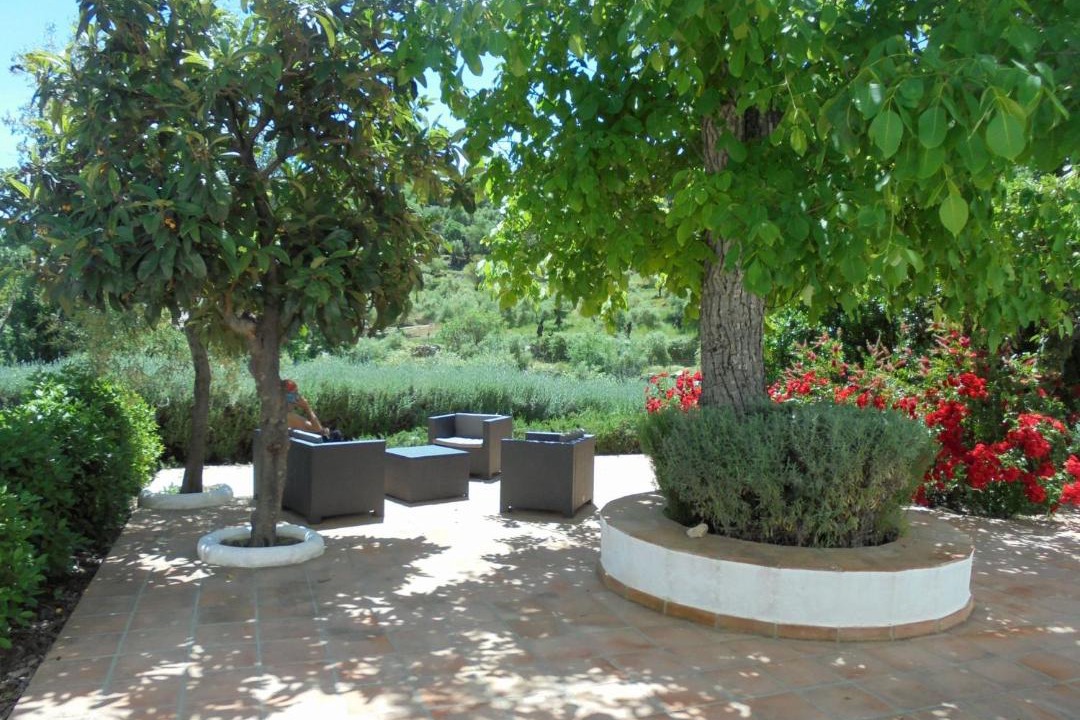 Photo of Others in Grazalema