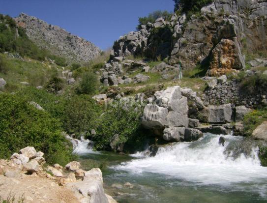 Photo of Others in Benaojan