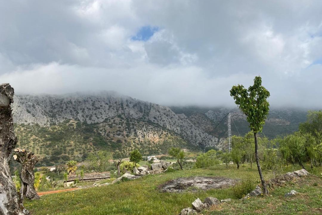 Photo of Others in Benaojan