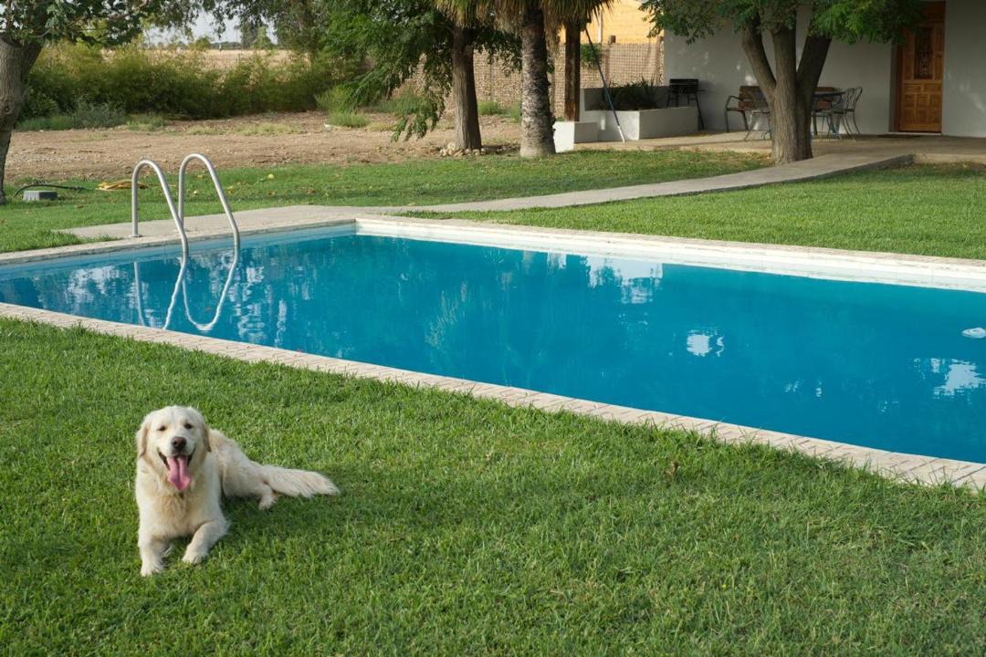 Photo of Others in Carmona