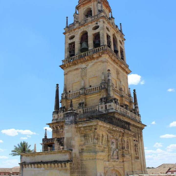 Photo of Others in La Catedral