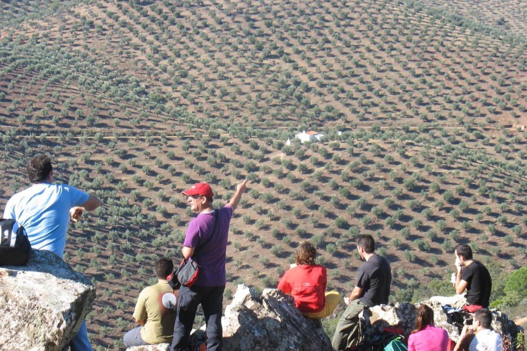 Photo of Human In Picture in Pozoblanco