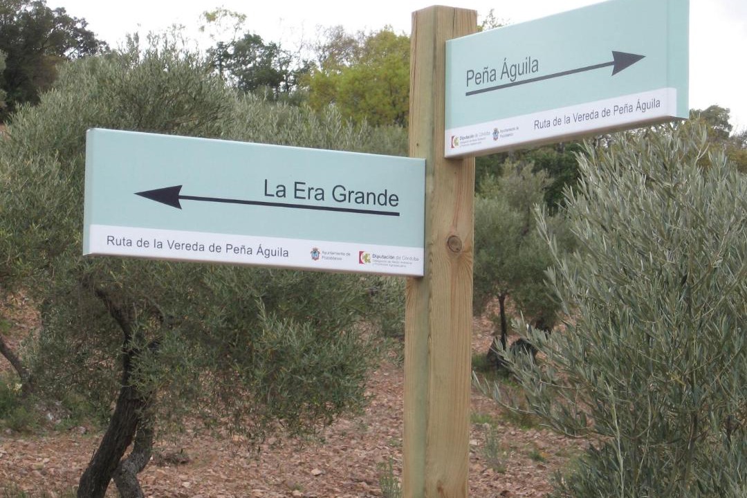 Photo of Outdoor in Pozoblanco
