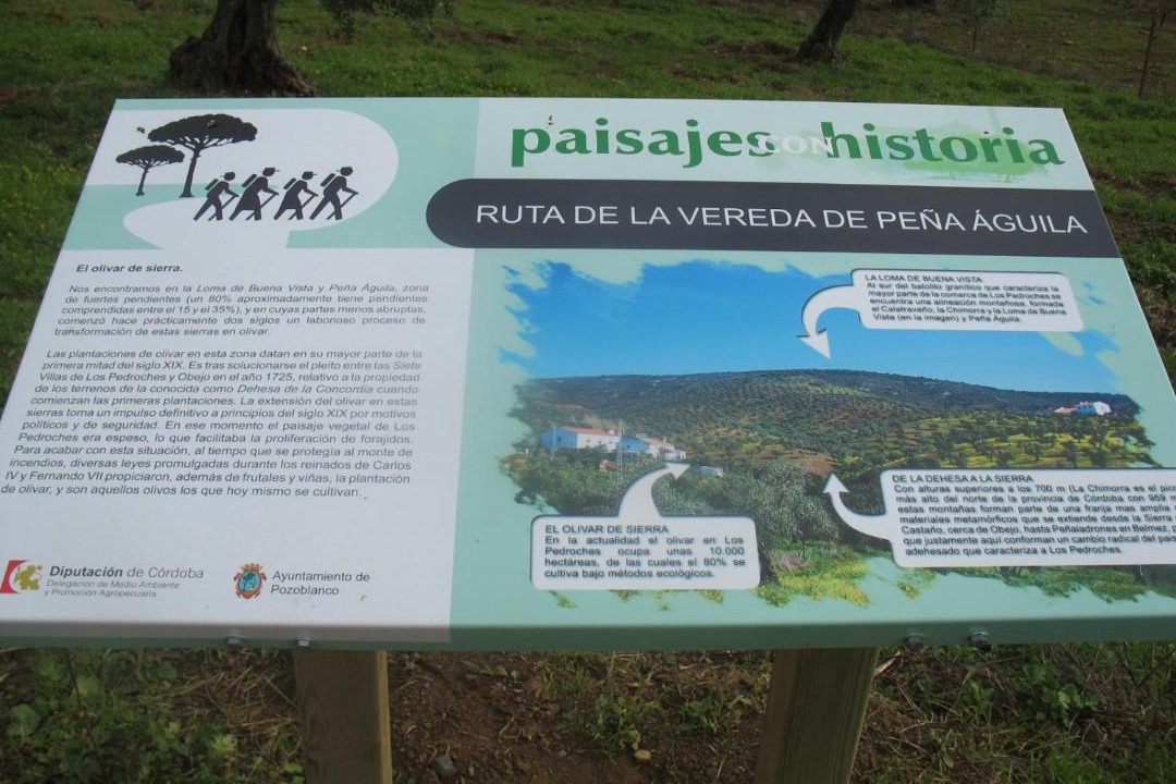Photo of Others in Pozoblanco