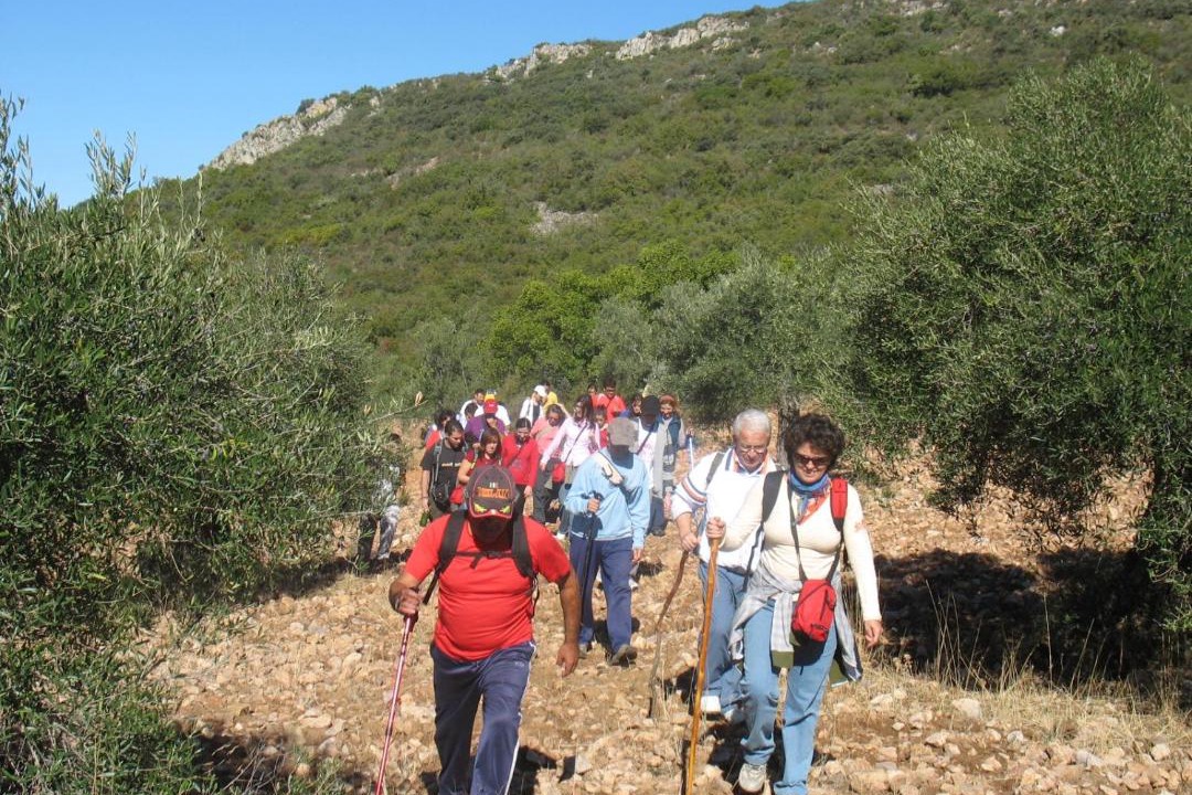 Photo of Others in Pozoblanco