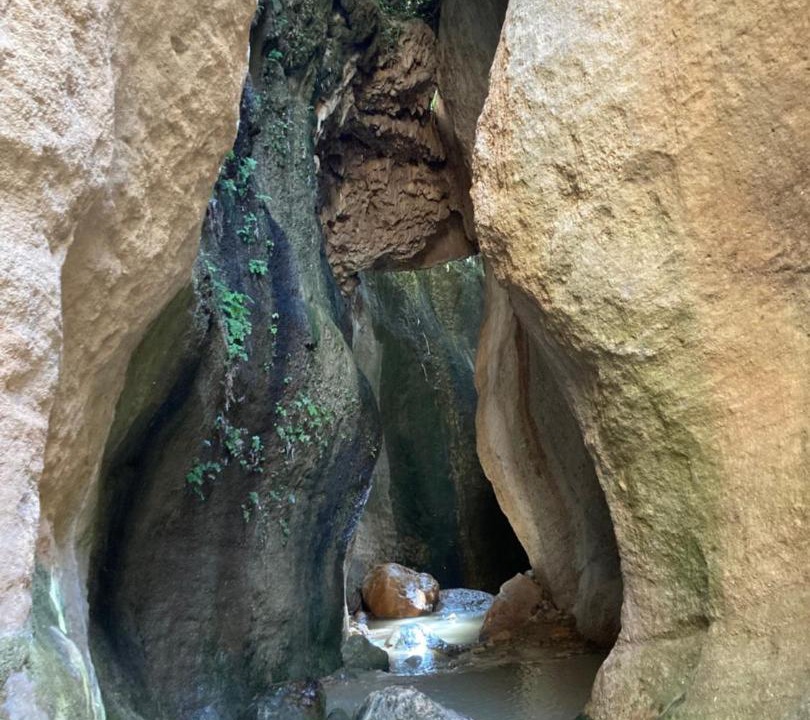 Photo of Others in Pinos del Valle