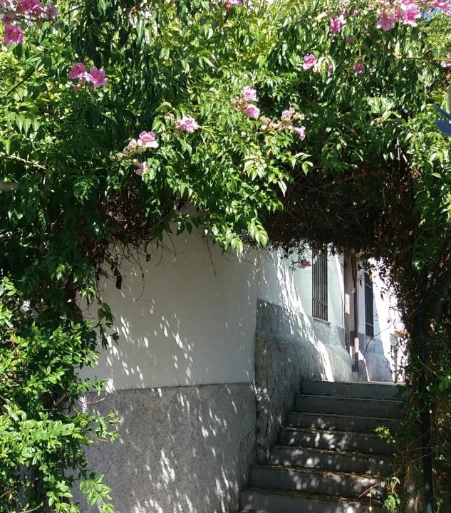 Photo of Others in Pozoblanco