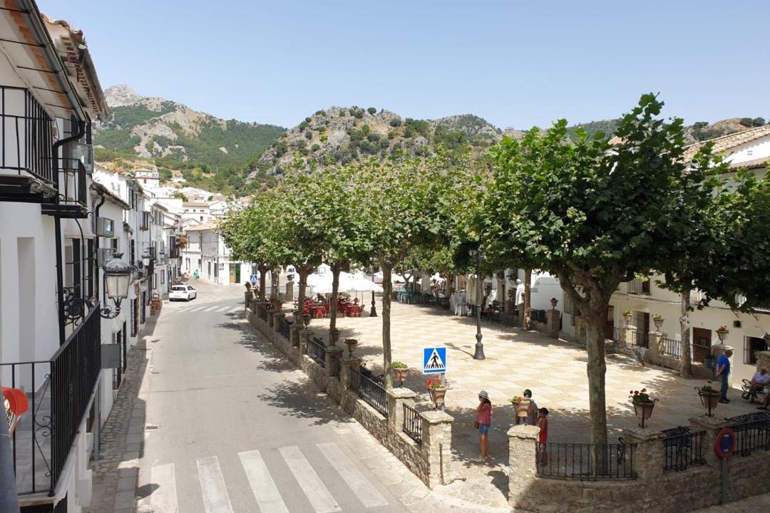 Photo of Others in Grazalema