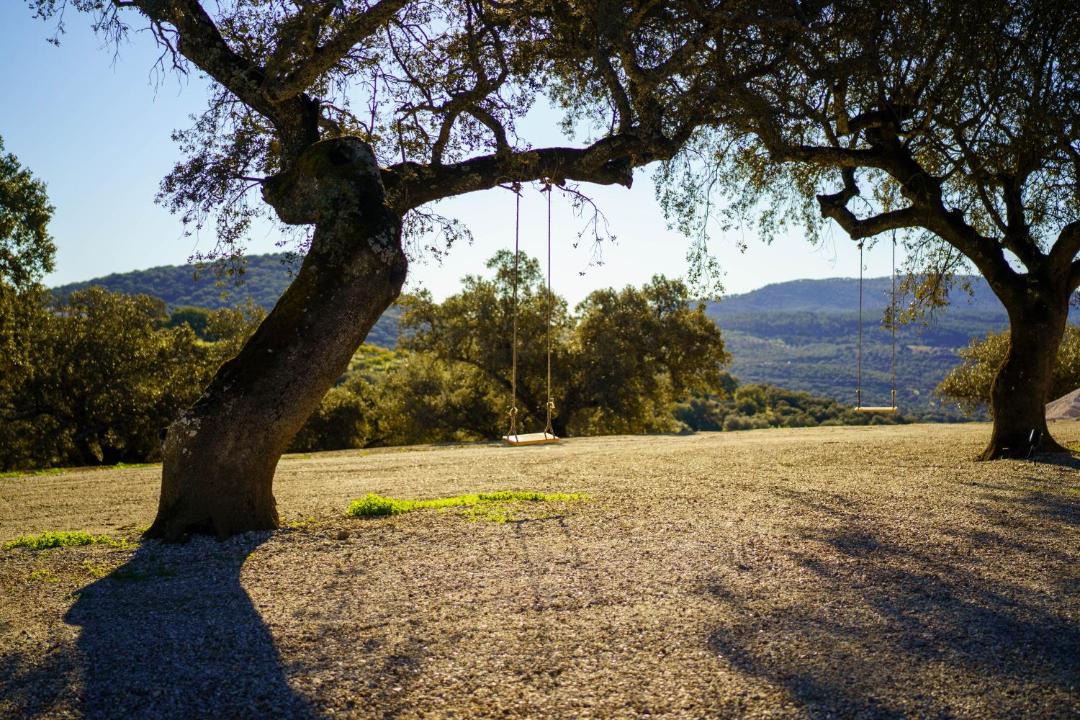 Photo of Others in Monesterio