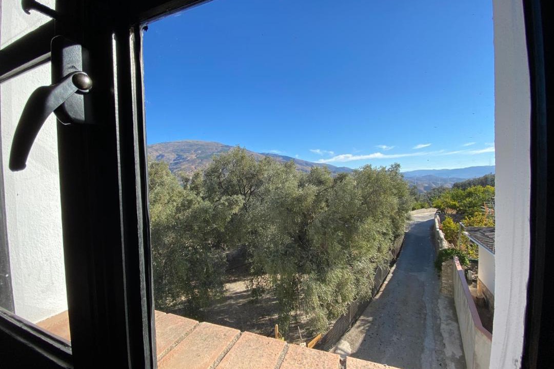 Photo of Others in Pinos del Valle