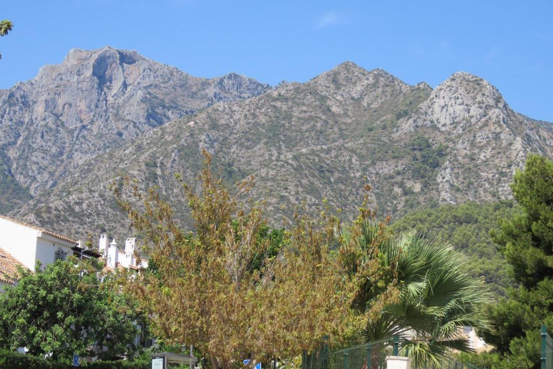 Photo of Others in Marbella
