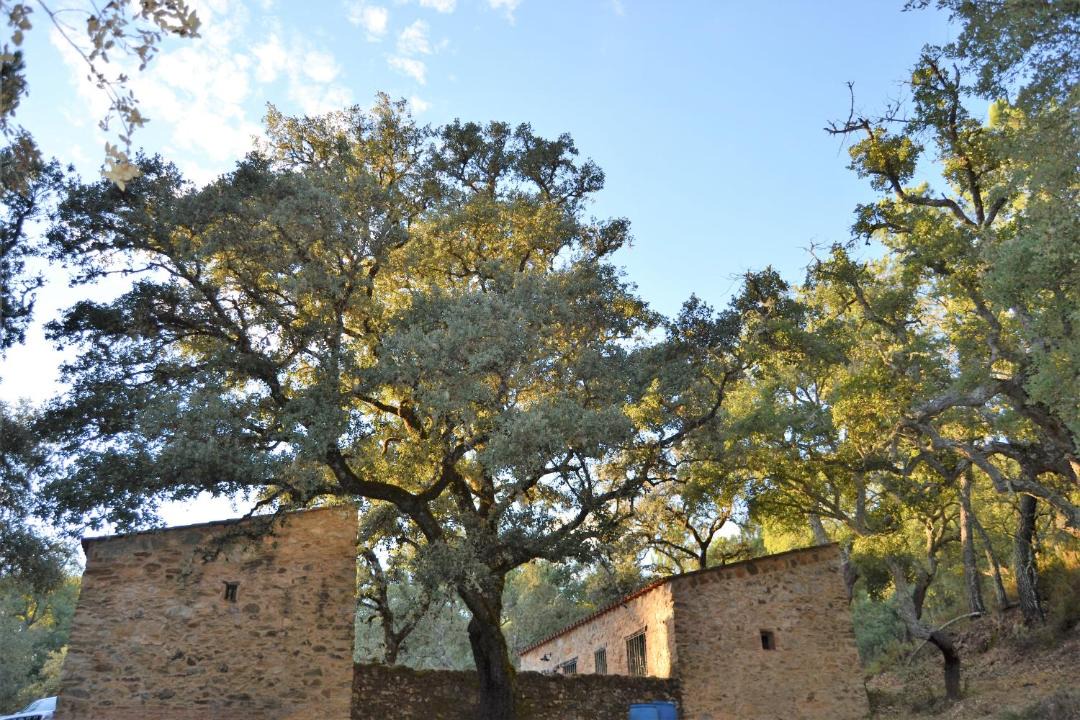 Photo of Others in Jabugo