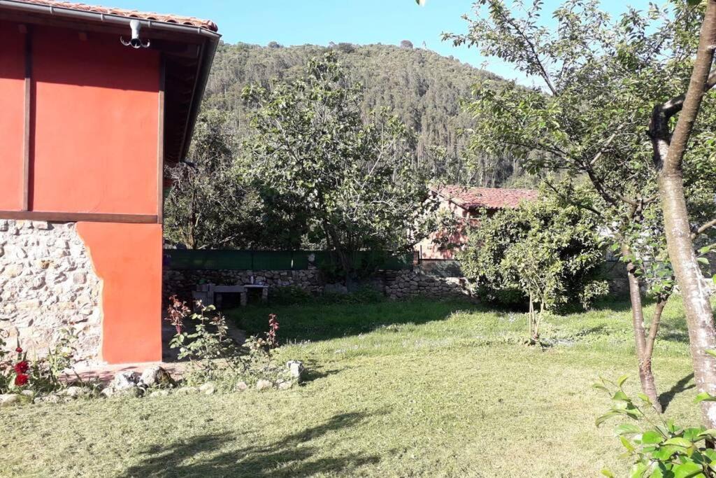 Photo of Others in Alava