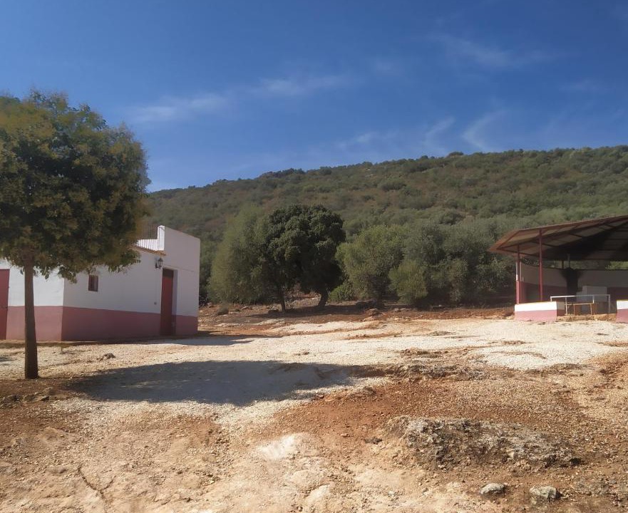 Photo of Others in Estepa